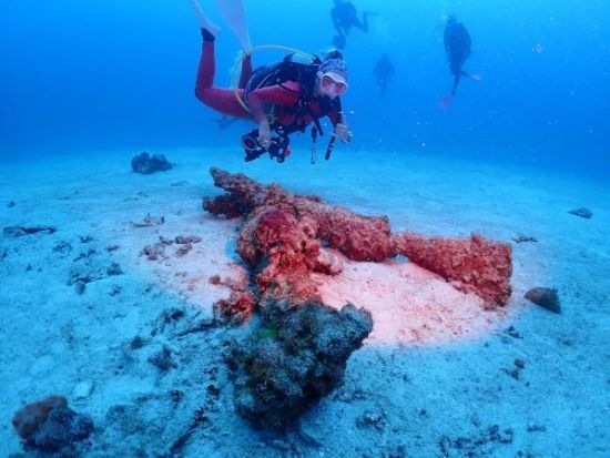 ファンダイビング　初心者から上級者まで楽しめるスポットあり！透明度抜群の海で非日常的な体験を楽しむコース＜2ダイブ／最大4名／読谷村発＞