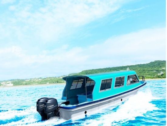 グラスボート 沖縄の海をのぞいてみよう！ウミガメやカクレクマノミと高確率で遭遇 美しい沖縄の海で非日常体験＜沖縄南部 新原ビーチ＞