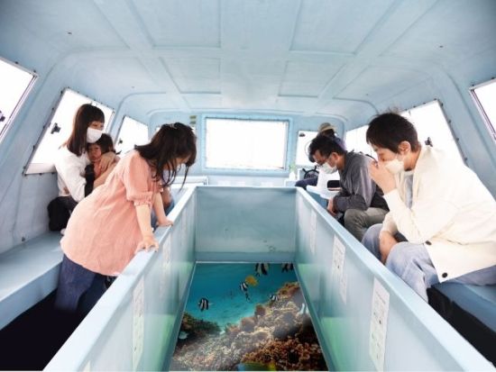 グラスボート 沖縄の海をのぞいてみよう！ウミガメやカクレクマノミと高確率で遭遇 美しい沖縄の海で非日常体験＜沖縄南部 新原ビーチ＞