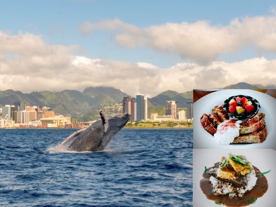 Prince Kuhio Tours, LLC | ハワイ（オアフ島(ホノルル)）観光