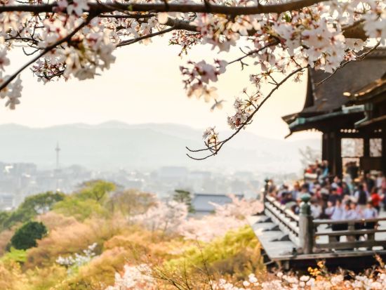 大阪発 日帰りバスツアー 京都・奈良名所巡り 清水寺＋伏見稲荷大社＋奈良公園へご案内＜大阪発着／日本語・中国語or英語＞