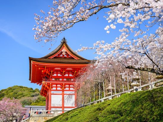 大阪発 日帰りバスツアー 京都・奈良名所巡り 清水寺＋伏見稲荷大社＋奈良公園へご案内＜大阪発着／日本語・中国語or英語＞