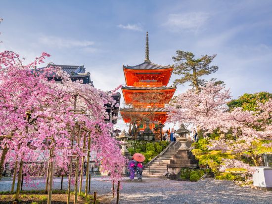 大阪発 日帰りバスツアー 京都・奈良名所巡り 清水寺＋伏見稲荷大社＋奈良公園へご案内＜大阪発着／日本語・中国語or英語＞