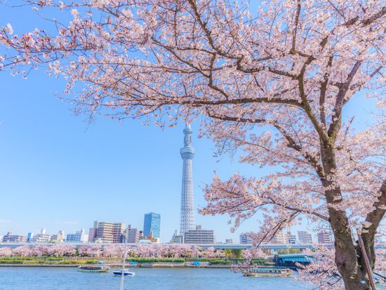 pixta_49692053_M (1)