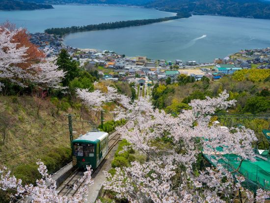 大阪発 日帰りバスツアー 天橋立＆伊根の舟屋 絶景と歴史を満喫！＜大阪発着／日本語・中国語or英語＞