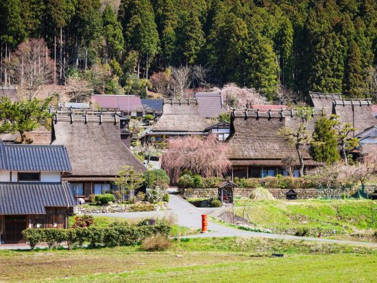 天橋立＋伊根の舟屋＋美山かやぶきの里日帰りツアー 日本の伝統と自然美を堪能！＜大阪発着／日本語・中国語or英語＞