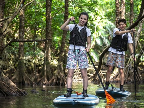 B94C10D9-1BAB-49B8-8F4E-D07B02A624B3-33995-000011156FC09090 (1)