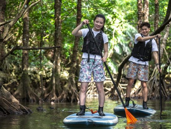 青の洞窟シュノーケリングツアー　ウミガメに会えるかも！大人気マングローブSUPorカヌー付きプランも！＜市街地送迎可／写真無料／石垣島発＞