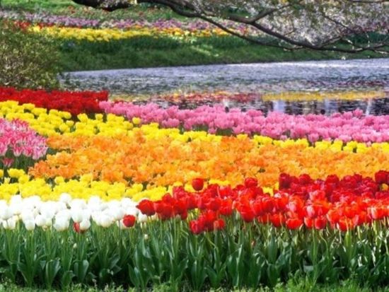 EMoUvF0pZnKrr4RuBJjMMBaQSbJkuvk0