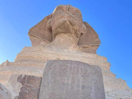 WhatsApp Image 2025-01-29 at 12.32.26_a584cb75