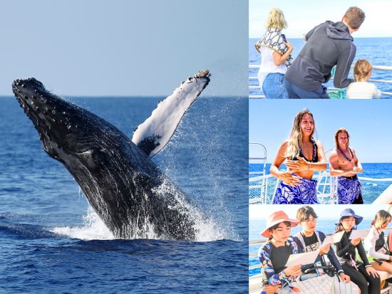 ホエールウォッチ　ハワイの伝統文化に触れるセレモニー「エ・ホ・マイ」やミニフラダンス鑑賞　軽食付き＜ワイキキ送迎可／12/1～3/31＞