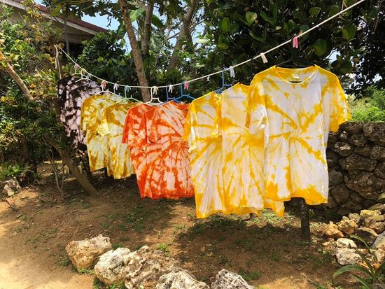 LINE_ALBUM_草木染め_241025_3