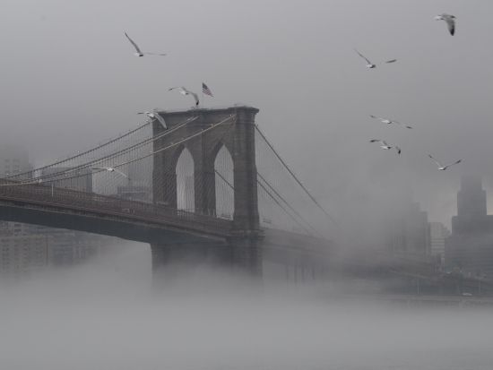 ブルックリン地区 フォト撮影＆ウォーキングツアー 　プロカメラマンが撮り方をレクチャー ＜日本語ガイド＞