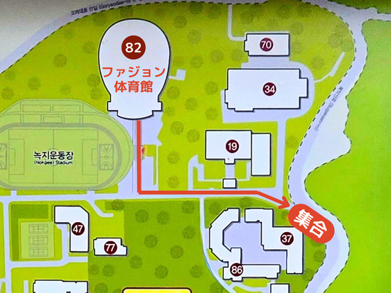 コリョ大ピックアップ1