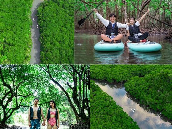 3-DE53B0CB-F2A1-4720-B40B-922C4E1BBD84_1_105_c