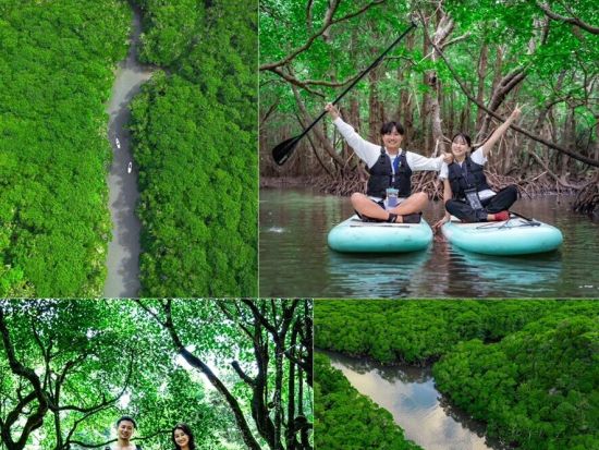 【少人数制】2歳〜参加可！マングローブ＆海サンセットドローン・一眼レフ撮影付！神秘的な熱帯雨林と茜色に染まる海SUP/カヌー！カメラマン案内＜約2時間／石垣島＞