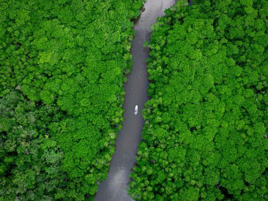 【少人数制】2歳〜参加可！マングローブ＆海サンセットドローン・一眼レフ撮影付！神秘的な熱帯雨林と茜色に染まる海SUP/カヌー！カメラマン案内＜約2時間／石垣島＞