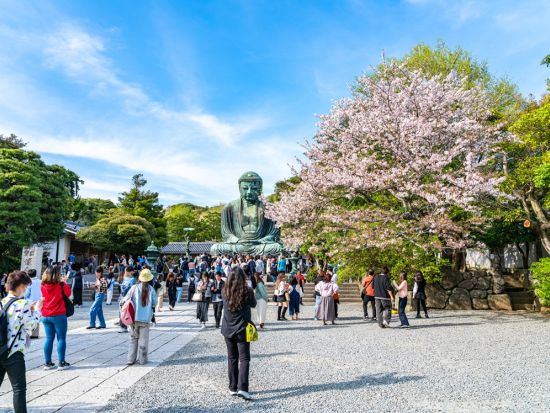 鎌倉観光タクシー　銭洗弁天＋高徳院（鎌倉大仏）＋極楽寺　神社仏閣巡り＜3～6時間／1～9名／鎌倉＞by グリンハイヤー