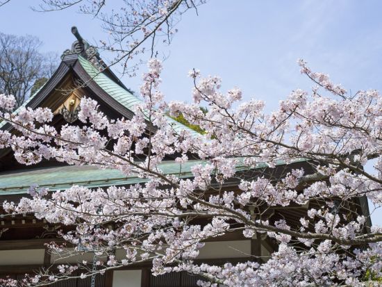 鎌倉観光タクシー　長谷寺＋高徳院（鎌倉大仏）＋建長寺＋報国寺（竹寺）＋鶴岡八幡宮　自由にコースや時間をアレンジ可能＜貸切／2～5時間／1～9名／鎌倉＞
