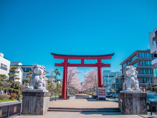 江ノ島観光タクシー 円覚寺＋建長寺＋鶴岡八幡宮を貸切タクシーで快適に巡ろう！＜4時間／1～9名／鎌倉＞