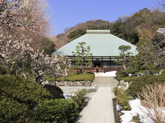 江ノ島観光タクシー 報国寺＋浄妙寺＋鶴岡八幡宮 鎌倉の名所を貸切で巡ろう！＜5時間／1～9名／鎌倉＞