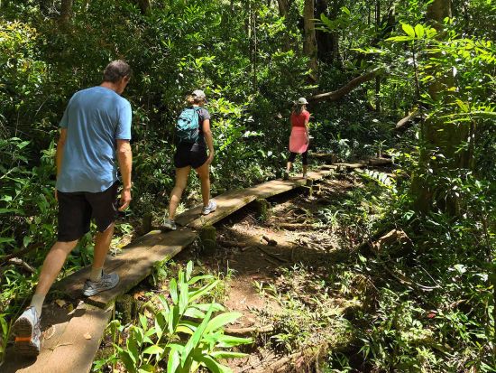 タンタラスの丘ダウンヒル（自転車）＆ハイキングツアー＜英語ガイド＞