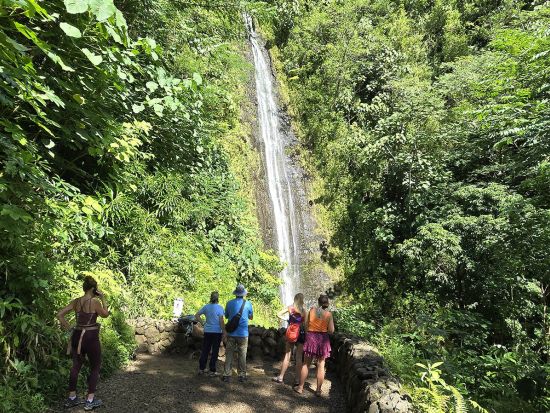 タンタラスの丘ダウンヒル（自転車）＆ハイキングツアー＜英語ガイド＞