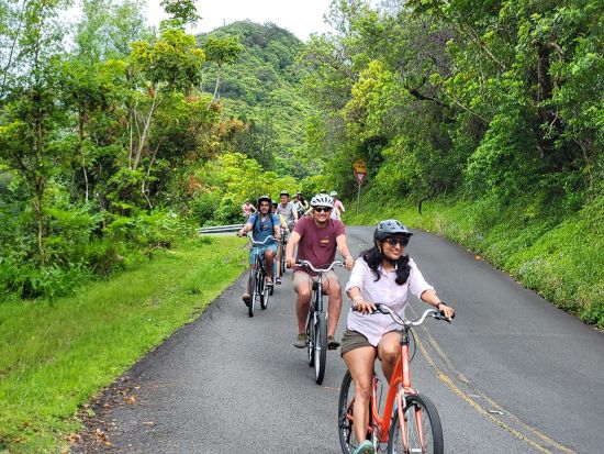 タンタラスの丘ダウンヒル（自転車）＆ハイキングツアー＜英語ガイド＞