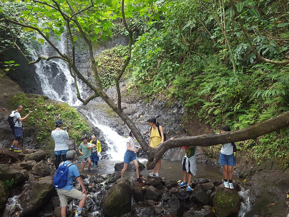 Oahu Waterfall Hiking Tour with Expert Guide - Manoa Valley & Koolau ...