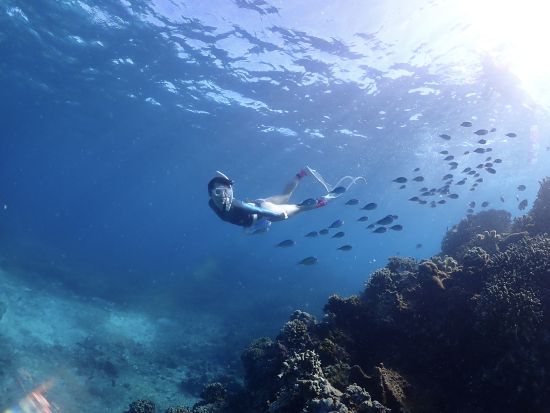 【1組限定・送迎無料サービスあり／宮古島】海の中をより間近で見たい方必見！スキンダイビングツアー〜映え間違いなしのロングフィン貸し出しあり〜＜宮古島＞