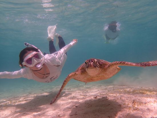 【1組限定・送迎無料サービスあり／宮古島】海の中をより間近で見たい方必見！スキンダイビングツアー〜映え間違いなしのロングフィン貸し出しあり〜＜宮古島＞