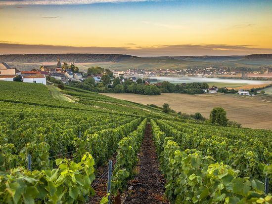 france_champagne_shutterstock_744244648