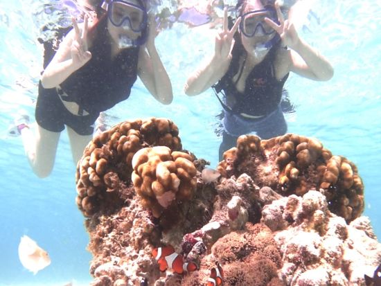 【☆1組限定・70歳以上参加可！送迎無料サービス☆】安心安全の貸切シュノーケリングツアー〜美しい珊瑚礁やウミガメなど生き物を堪能〜【沖縄・宮古島】