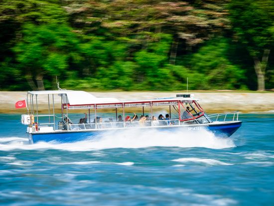 SouthernAlbatross-8065