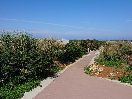 エコツアー2020124 _1_200124_0007