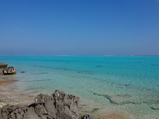 エコツアー2020124_200124_0054