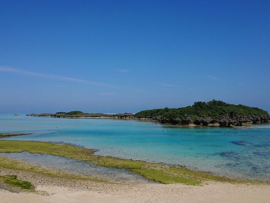 エコツアー2020124_200124_0059