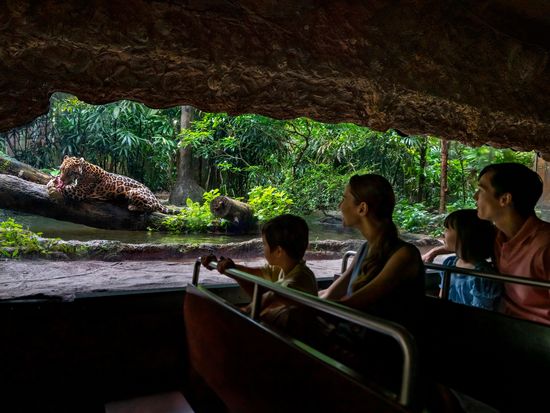 20231102083125_1316424391_10323_0