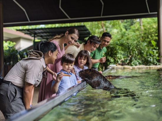 アジア最大級の鳥の楽園 バードパラダイス＋リバーワンダー入場チケット ＜日本語ガイド／往路送迎＞