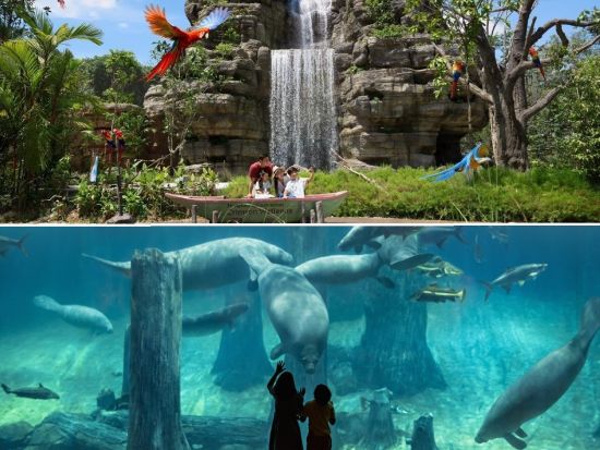 アジア最大級の鳥の楽園 バードパラダイス＋リバーワンダー入場チケット ＜日本語ガイド／往路送迎＞