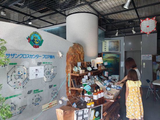 ゆいパンタ66338_0