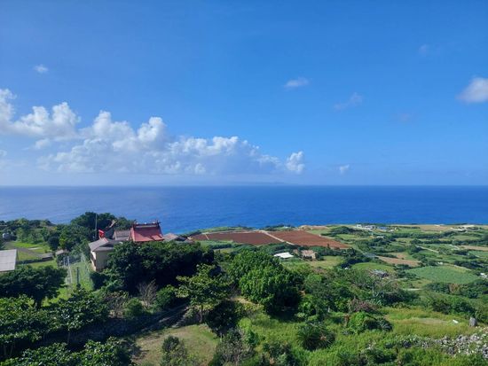 ゆいパンタ66308_0