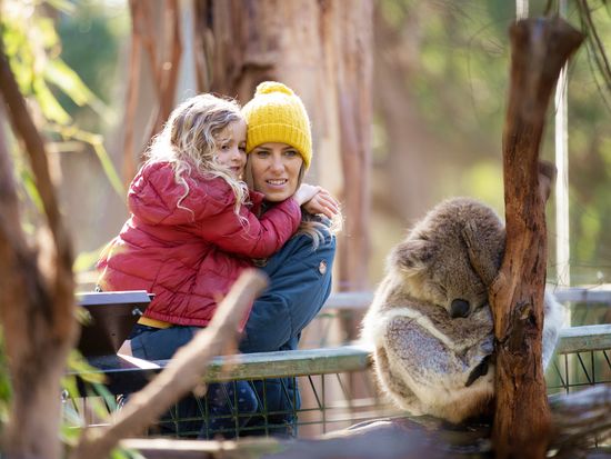 Koala-Conservation-Reserve-family