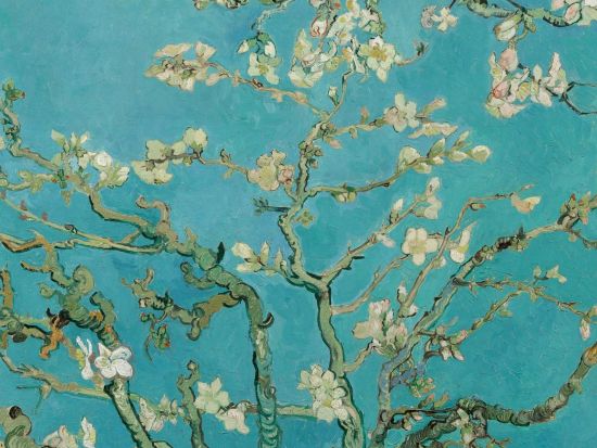 ゴッホ美術館: 入場チケット事前予約 ＊申込と同時に即予約確定 