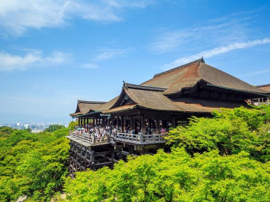 【英語ツアー】京都の文化財巡り 金閣寺＋嵐山＋清水寺 日帰りバスツアー＜京都発／神戸牛しゃぶしゃぶの昼食付／英語ガイド＞