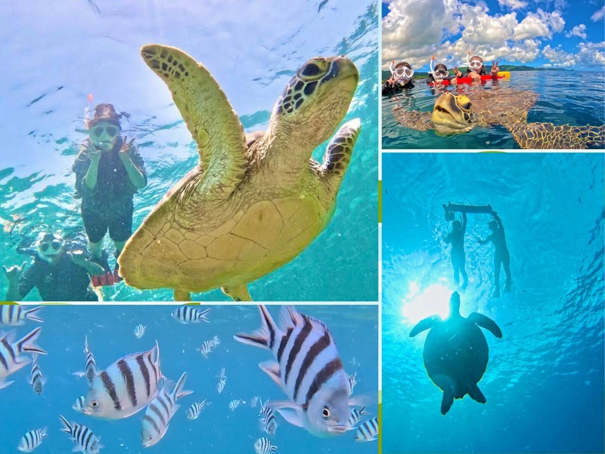 20250214062331_1961892989_1695