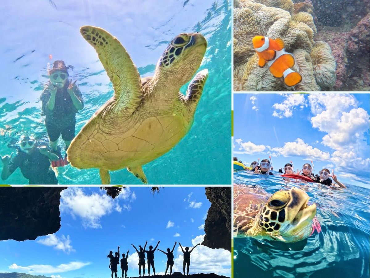 ウミガメシュノーケリング | 石垣島・八重山 旅行の観光・オプショナル