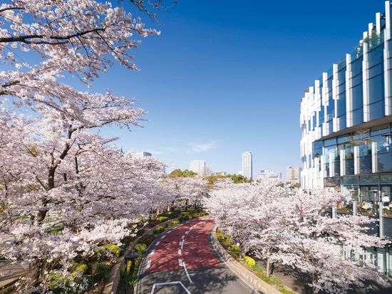 東京ミッドタウン (1)