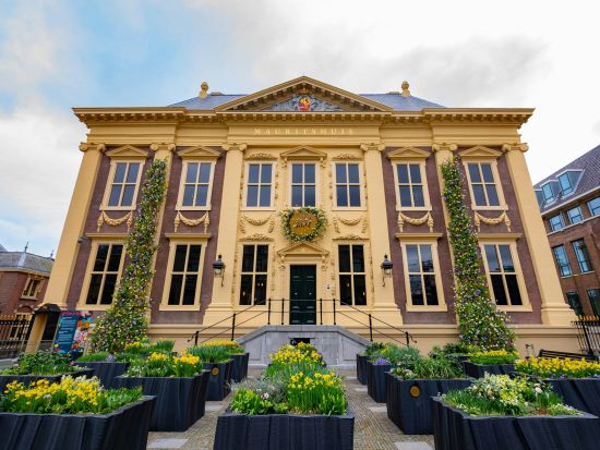 マウリッツハイス美術館 入場チケット事前予約 ＊申込と同時に即予約確定 