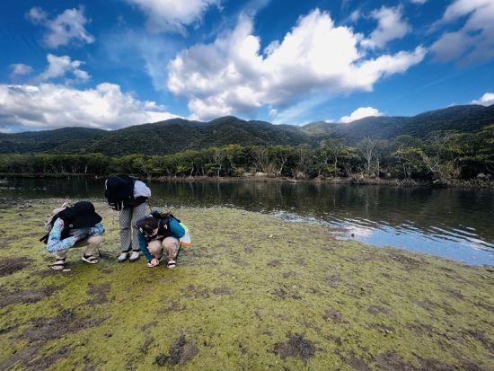 金作原原生林トレッキング＋マングローブカヌーツアー　奄美の大自然を満喫する旅＜お弁当付／6～7時間／名瀬中心地 送迎可能＞ by アマニコガイドサービス